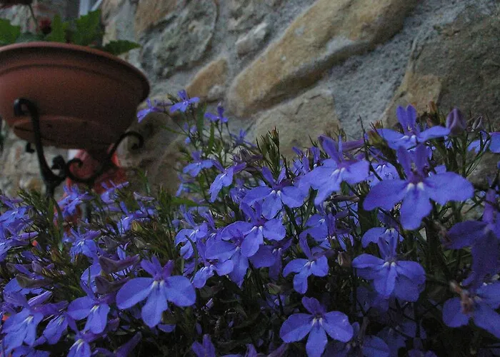 Di Campagna 3*