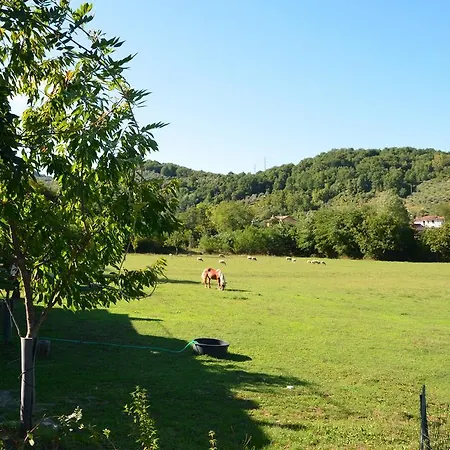 Casa Di Campagna Bed & Breakfast
