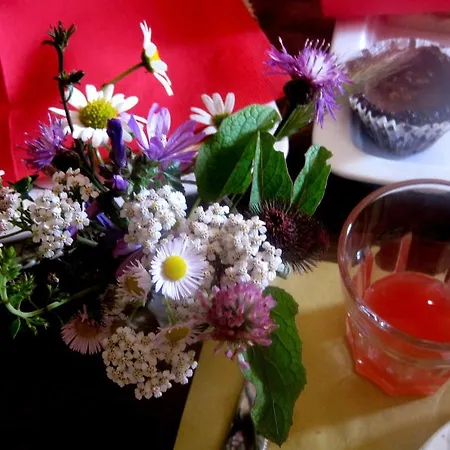 Bed & Breakfast Casa Di Campagna 3*
