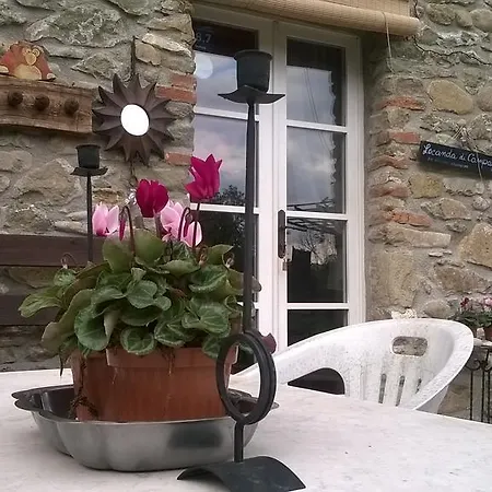 Casa Di Campagna Bed & Breakfast