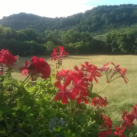 Bed & Breakfast Casa Di Campagna 3*